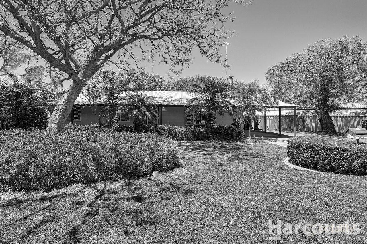 44 Linville St, Falcon, WA 6210
