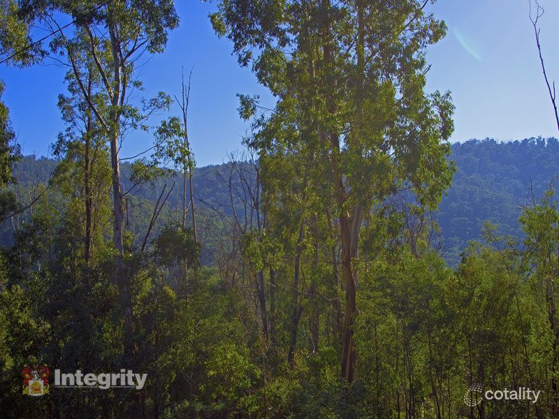 24 Silver Parrot Rd, Flowerdale, VIC 3717