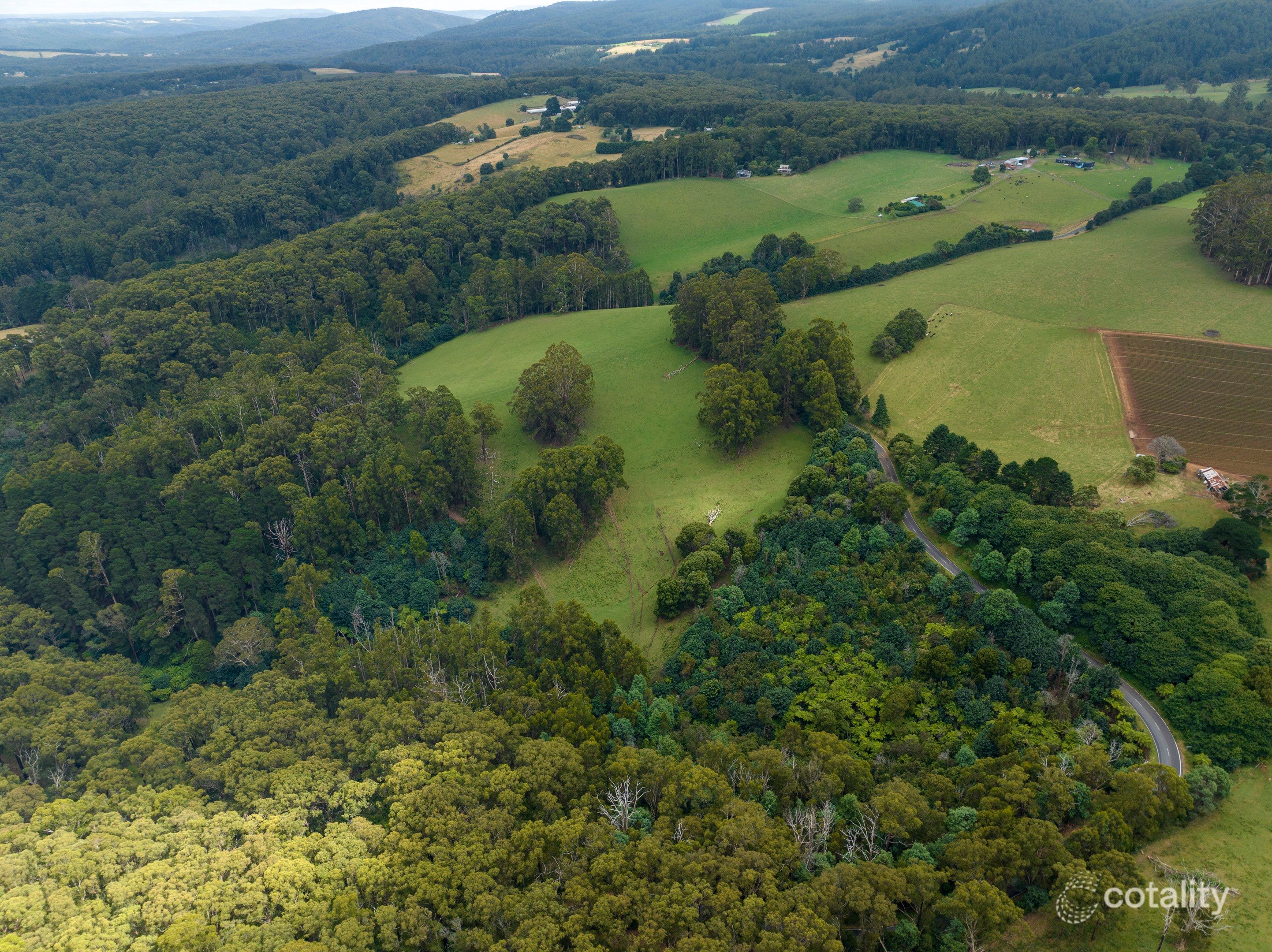 1475 Healesville-Kinglake Rd, Toolangi, VIC 3777