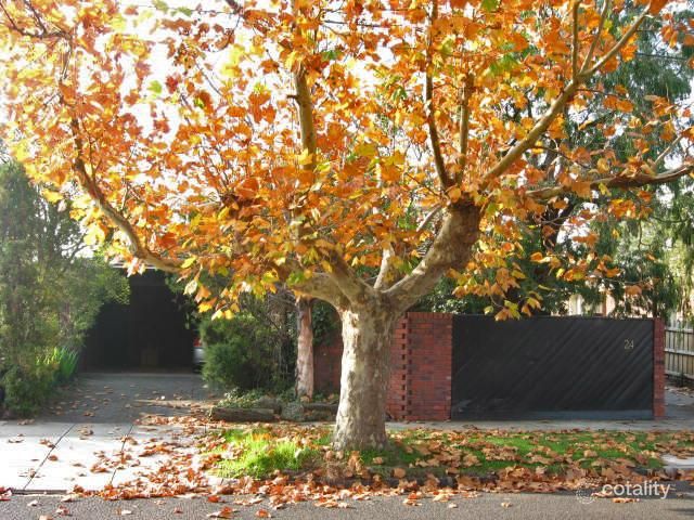 1/24 Newlyn St, Caulfield, VIC 3162