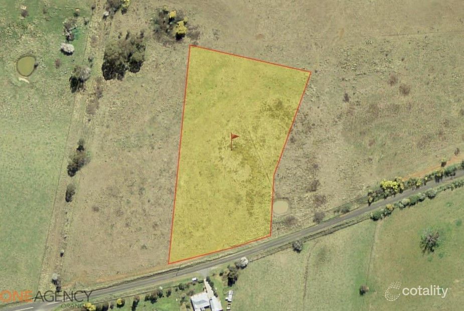 134 Long Swamp Rd, Forest Reefs, NSW 2798