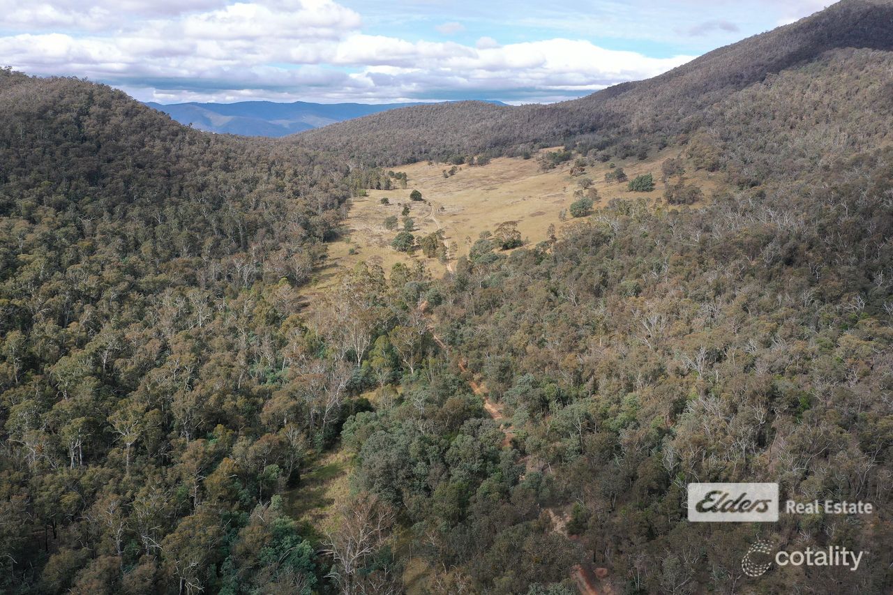 333 Scrubby Creek Trk, Omeo, VIC 3898