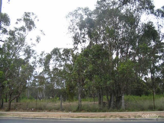 20 Collith Ave, South Windsor, NSW 2756