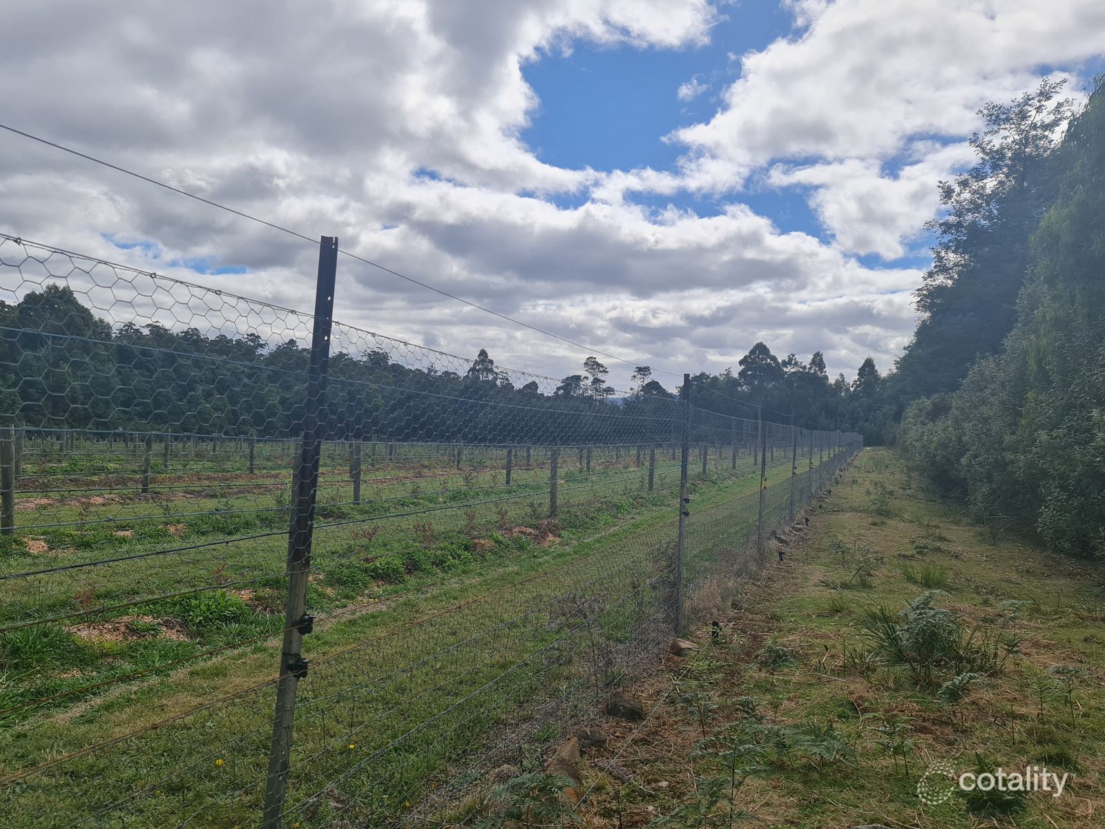 112 Cunninghams Rd, Western Creek, TAS 7304