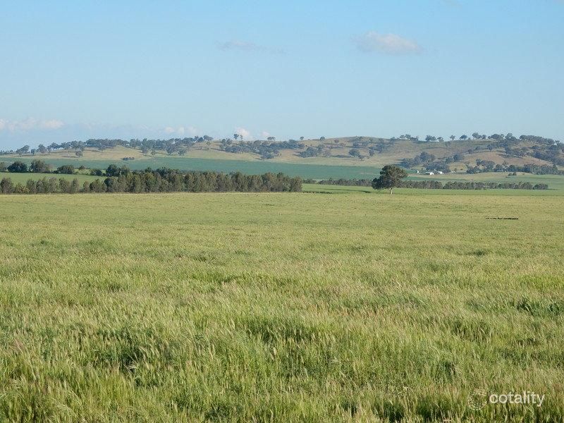 1504 Gregadoo East Rd, Gregadoo, NSW 2650