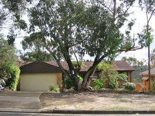 19 Peter Cl, Hornsby Heights, NSW 2077