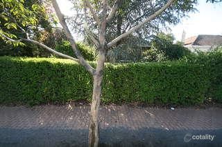 32 Ascot Ave, Vale Park, SA 5081