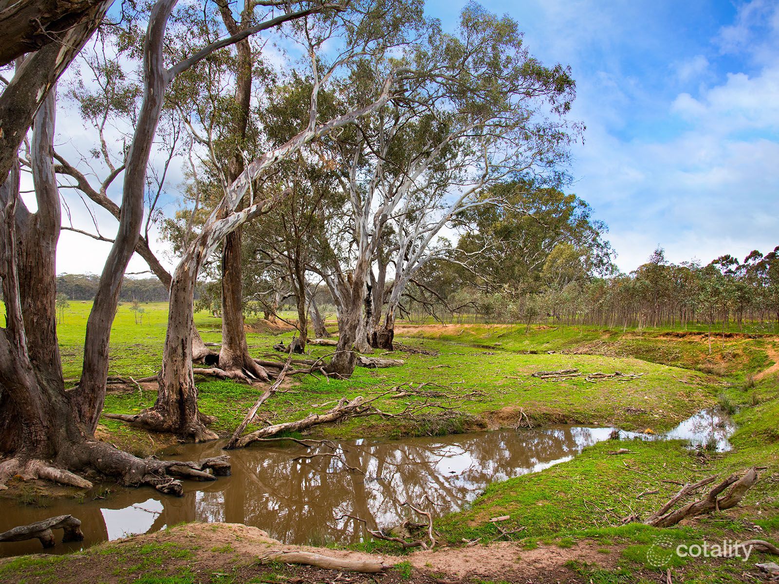 510 Talbot-Mt Cameron Rd, Red Lion, VIC 3371
