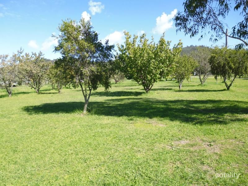 41 Duncan St, Woolomin, NSW 2340