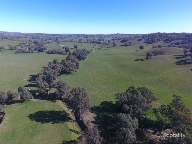 150 Murraguldrie Rd, Humula, NSW 2652