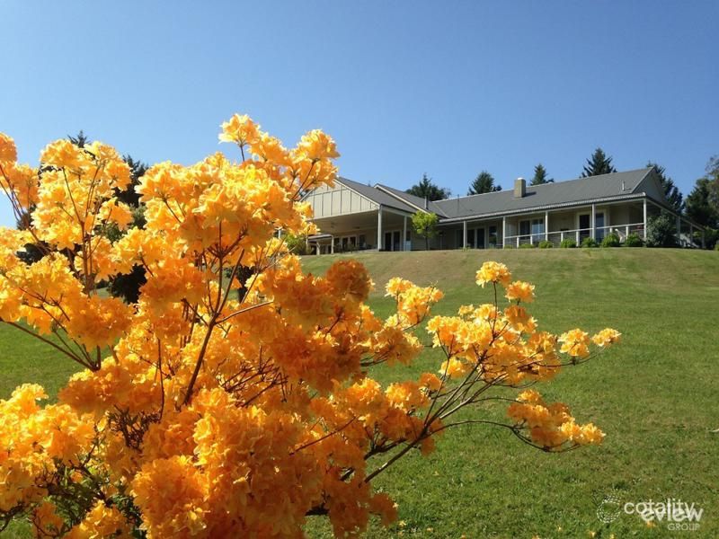 49 Pine Ave, Badger Creek, VIC 3777