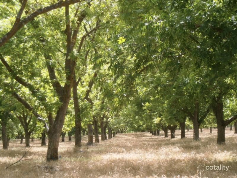 43 Hearle Rd, Mumballup, WA 6225