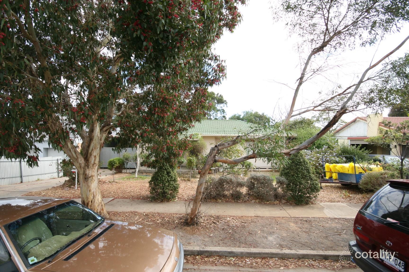 17 Dunedin St, Dover Gardens, SA 5048