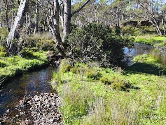 Lot 1 Cradle Mountain Rd, Moina, TAS 7310