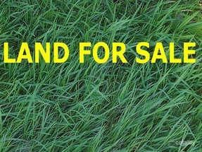 4 Reece Ct, Carrum Downs, VIC 3201