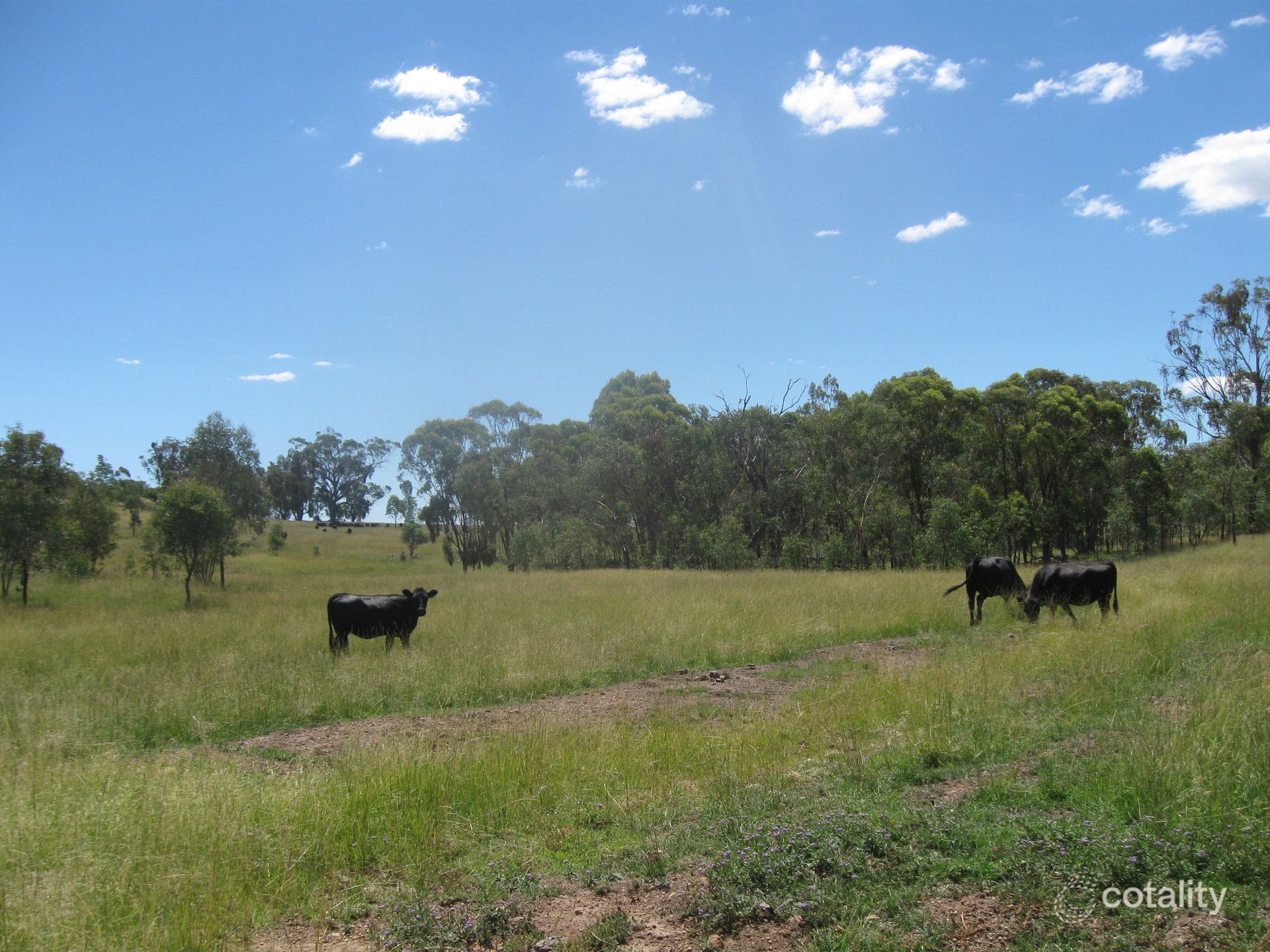 240 Halls Lane, Bukkulla, NSW 2360