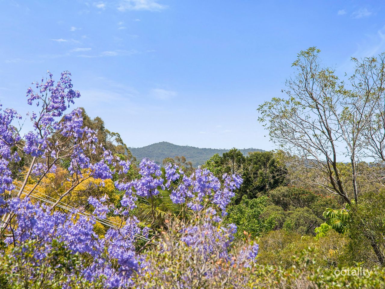 51 Santley St, Mount Gravatt, QLD 4122