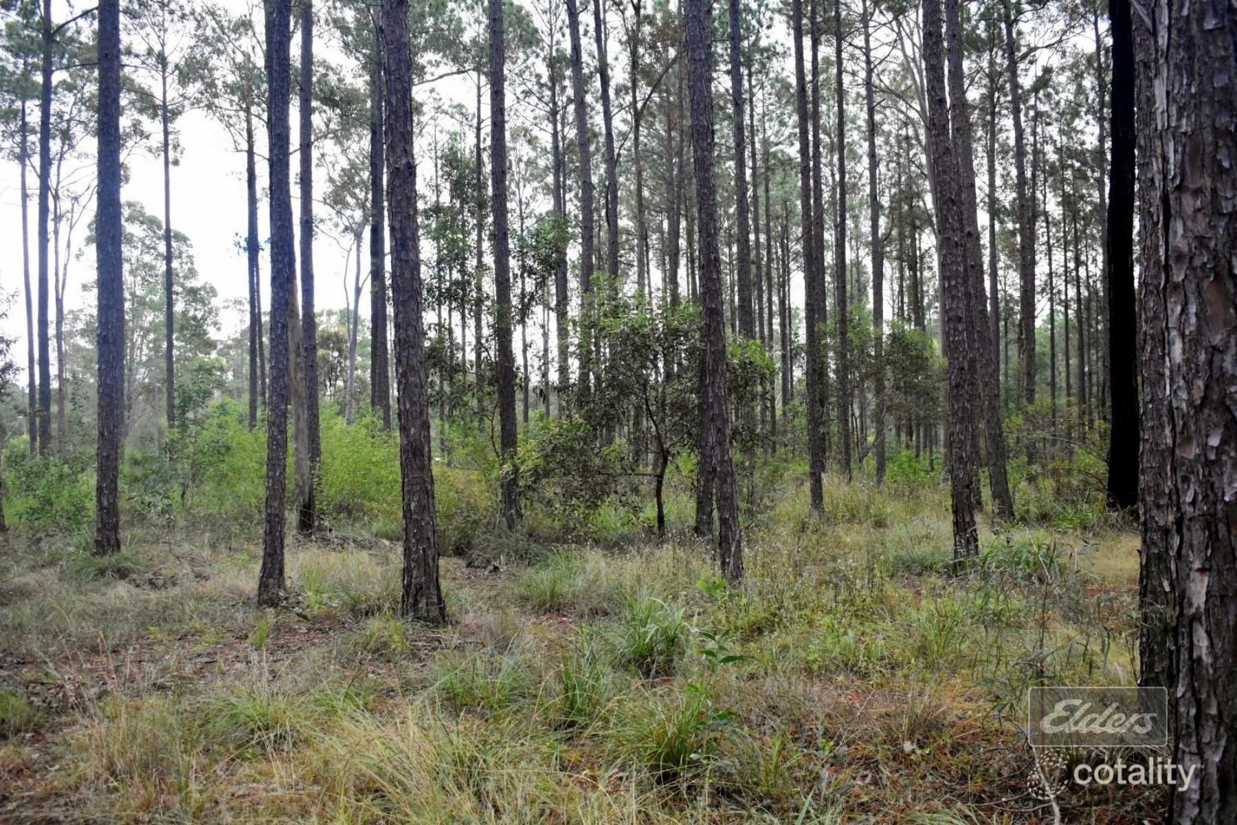 Lot 811 Arborthirty One Rd, Glenwood, QLD 4570