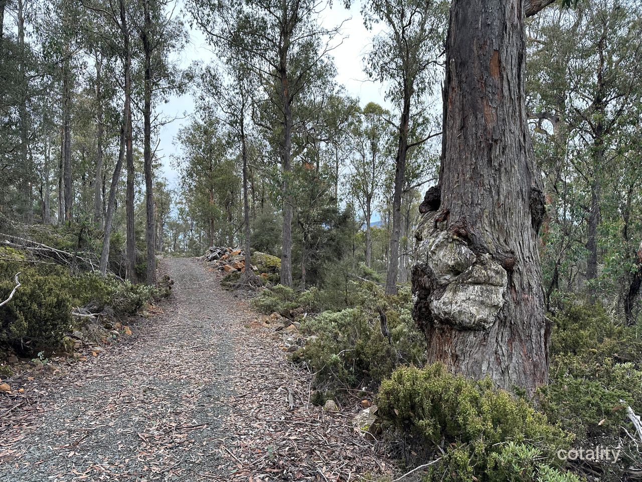 10 Arthurs Lake Rd, Morass Bay, TAS 7030