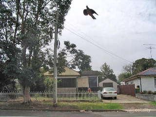 179 Carpenter St, St Marys, NSW 2760