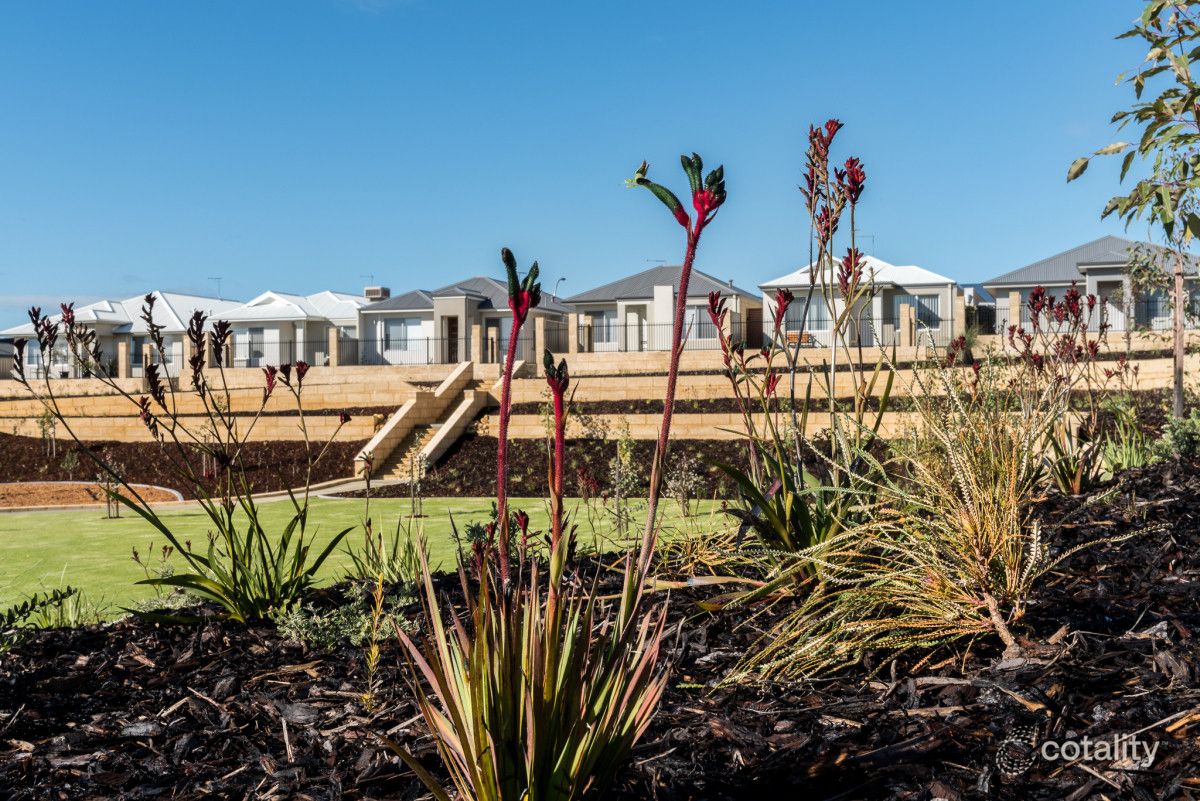 10 Lisianthus Tce, Beeliar, WA 6164