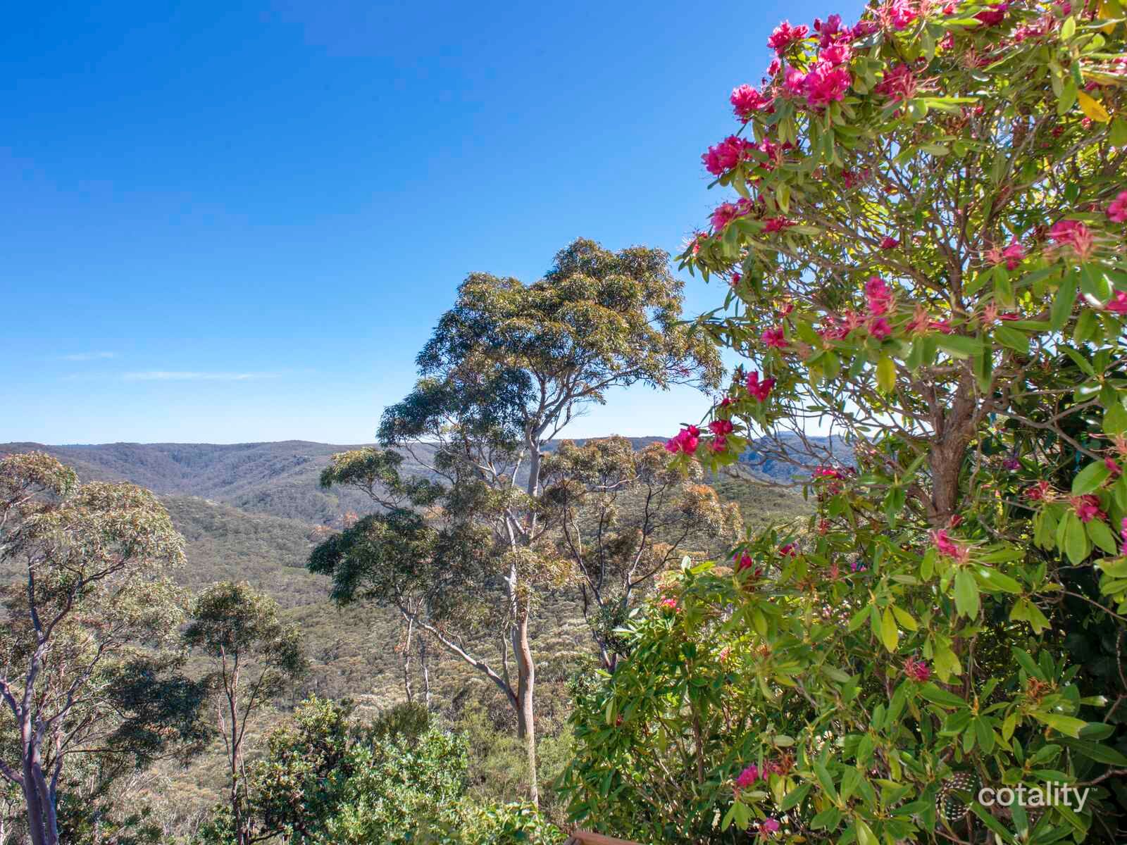 42 Edward Pde, Wentworth Falls, NSW 2782