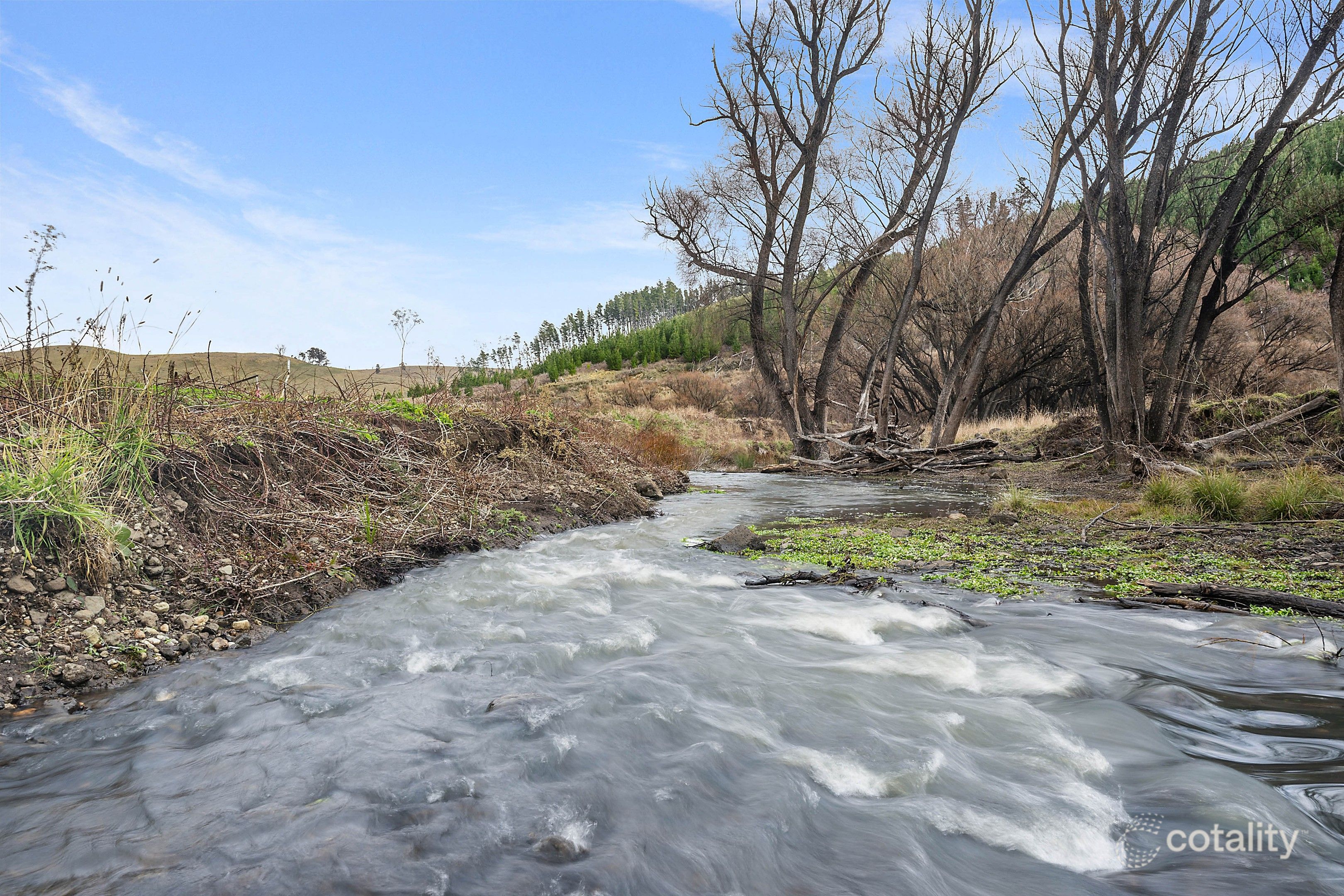 437 Swallows Nest Rd, Mount David, NSW 2795