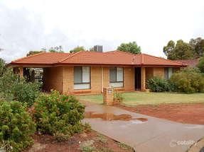 8 Allsop Cl, Hannans, WA 6430