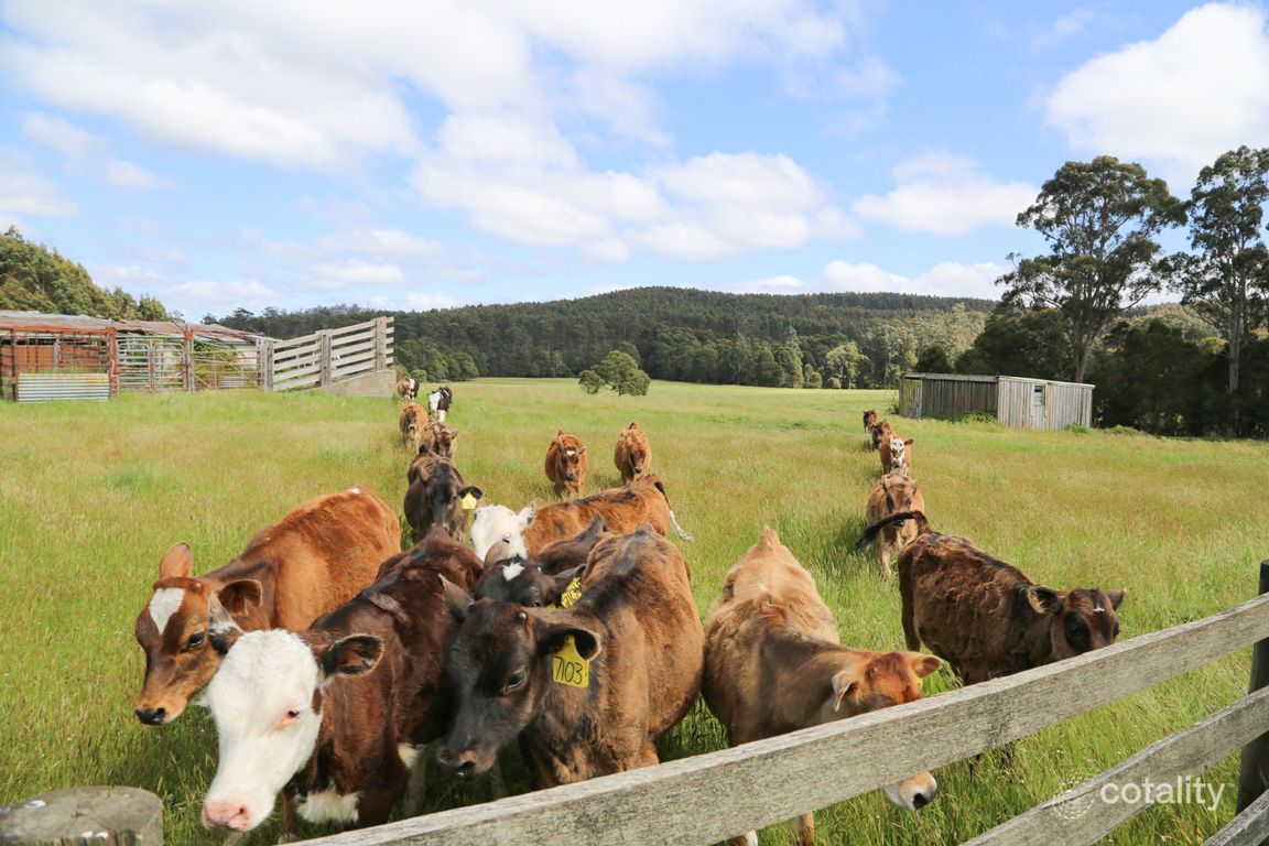 2112 Mawbanna Rd, Mawbanna, TAS 7321