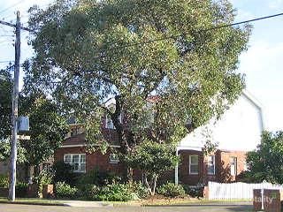 41 Bardwell Rd, Bardwell Park, NSW 2207