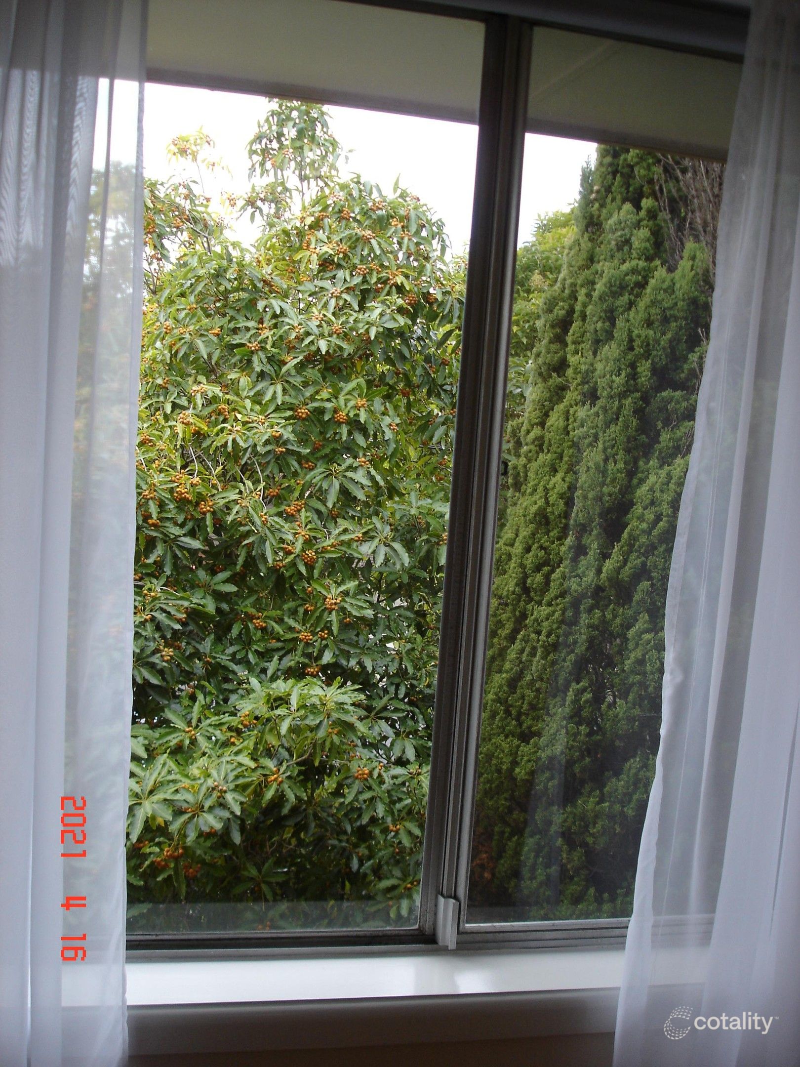 5/50 Tranmere Ave, Carnegie, VIC 3163