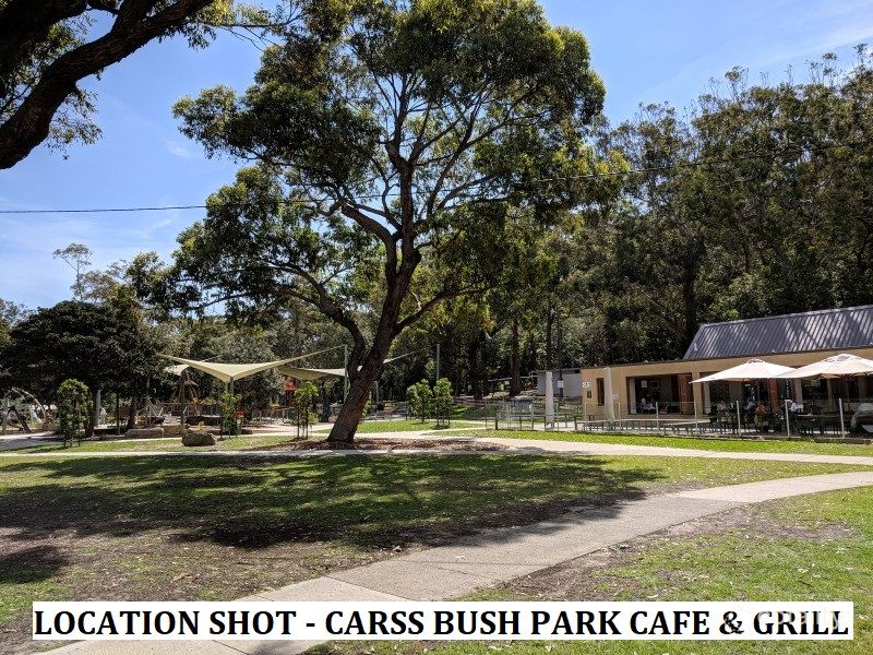 72 Gnarbo Ave, Carss Park, NSW 2221