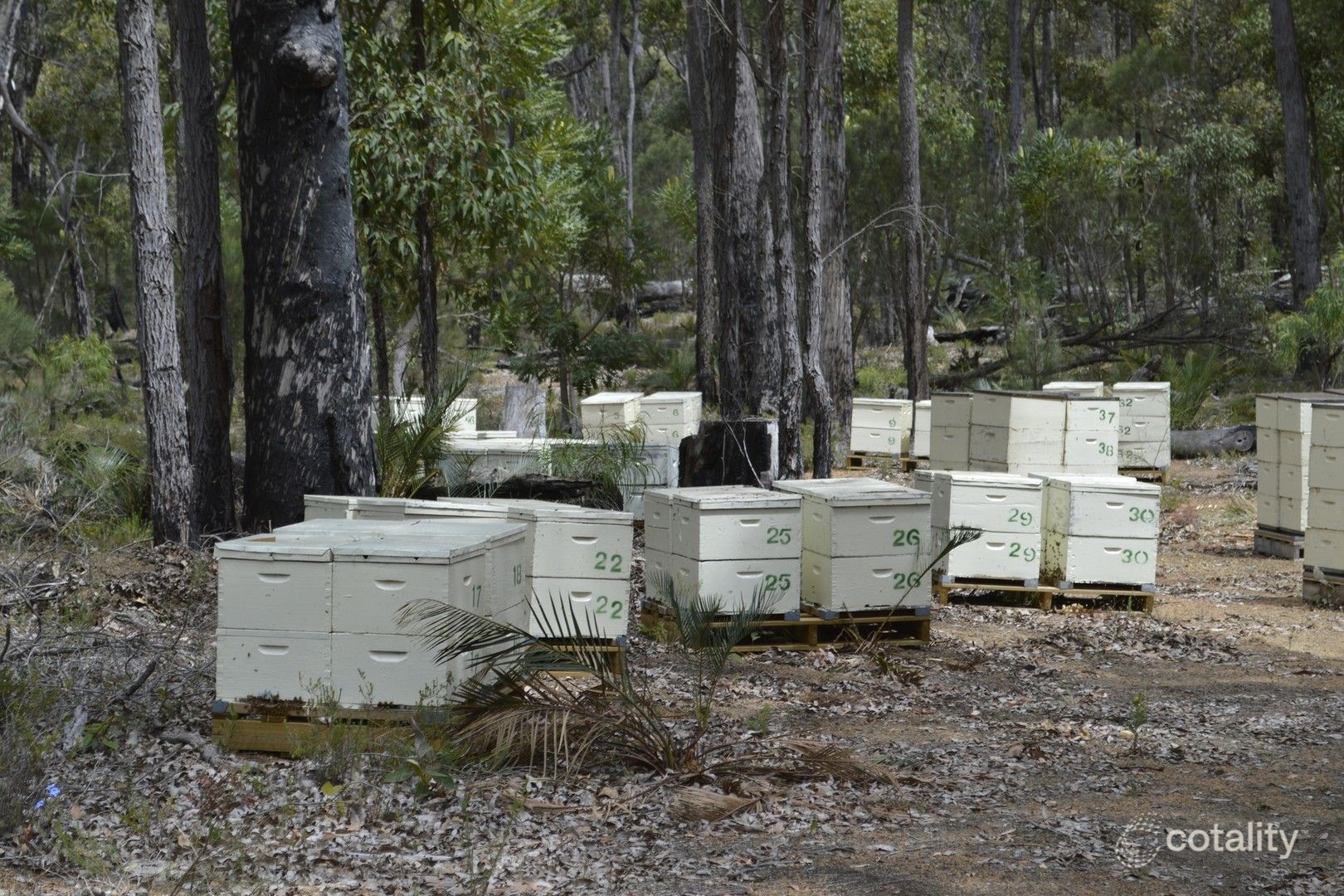 877 Wells Glover Rd, Mooliabeenee, WA 6504