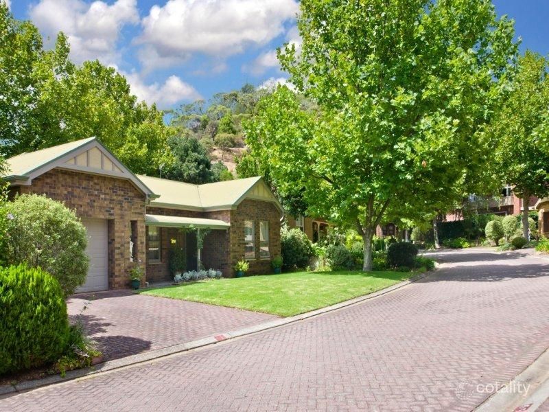 16/5 Mount Barker Rd, Urrbrae, SA 5064