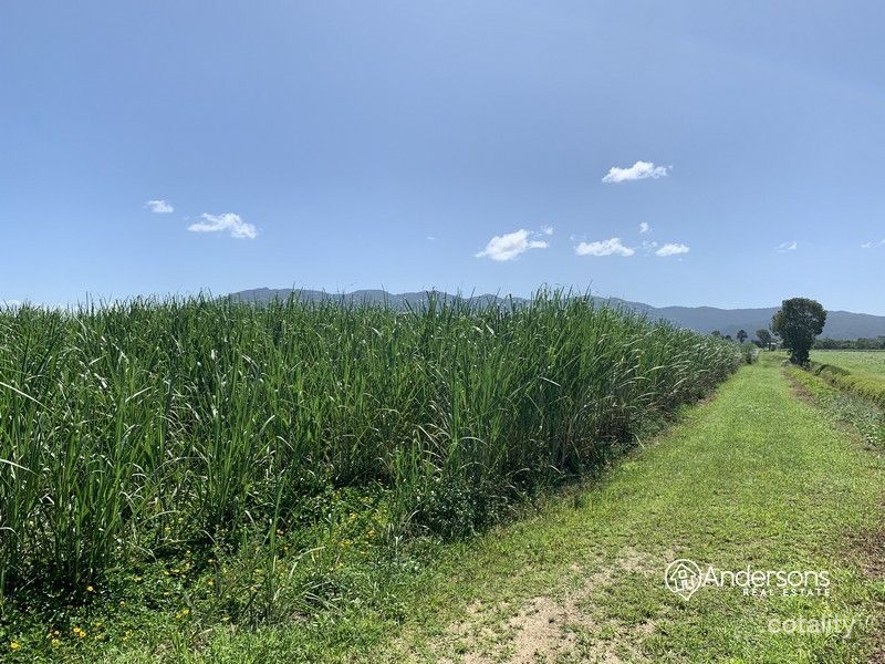 99 Midgenoo Feluga Rd, Feluga, QLD 4854