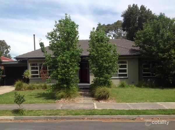 8 Burton St, Richmond, SA 5033