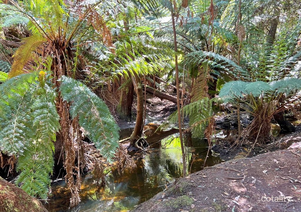 56 Geiss Rd, Tunnel, TAS 7254