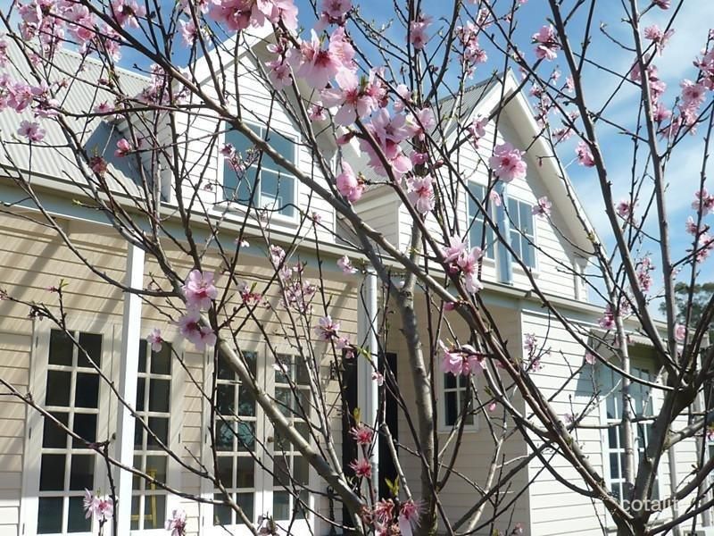 103 High St, Yandoit, VIC 3461