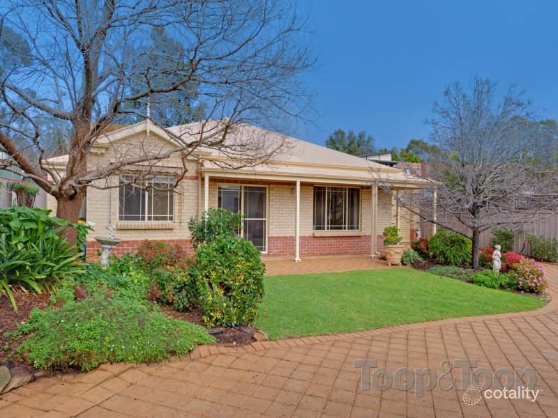 2/66 Tusmore Ave, Tusmore, SA 5065