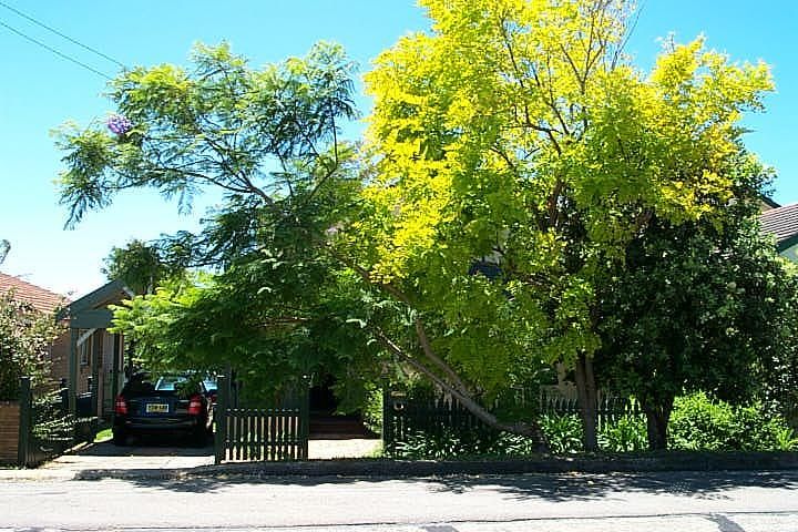 98 Ridge St, Merewether, NSW 2291