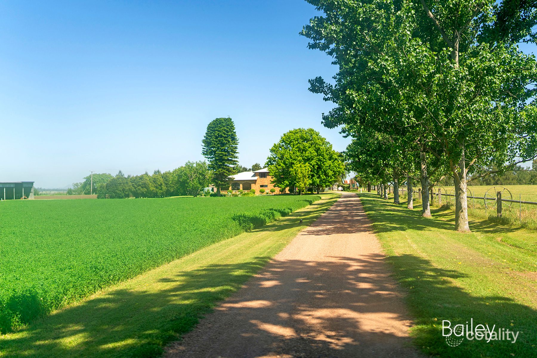 238 Scotts Flat Rd, Scotts Flat, NSW 2330