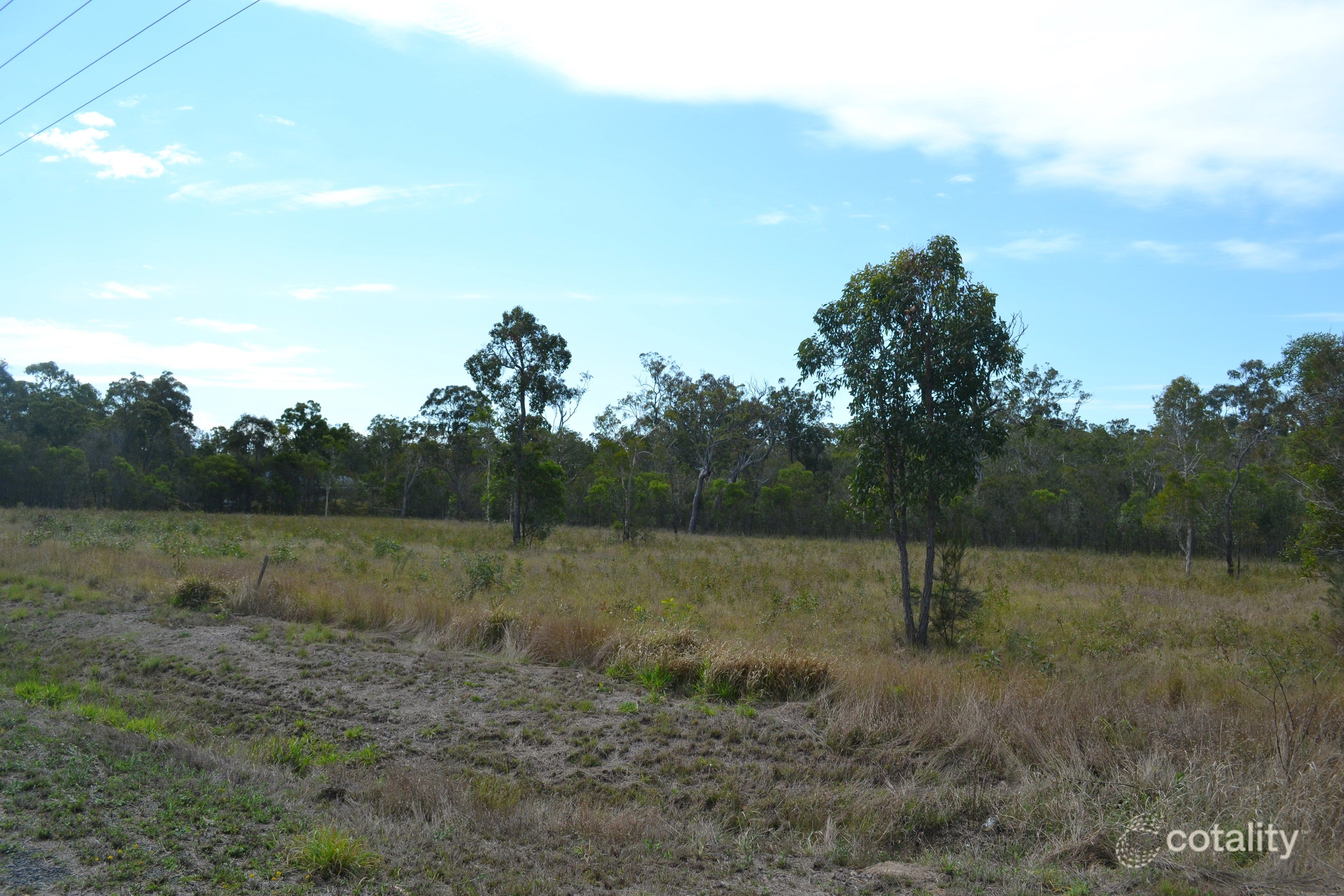 55 Corella Way, Walligan, QLD 4655