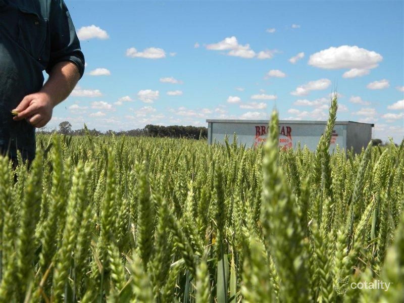 93 Stringers Rd, Yando, VIC 3537