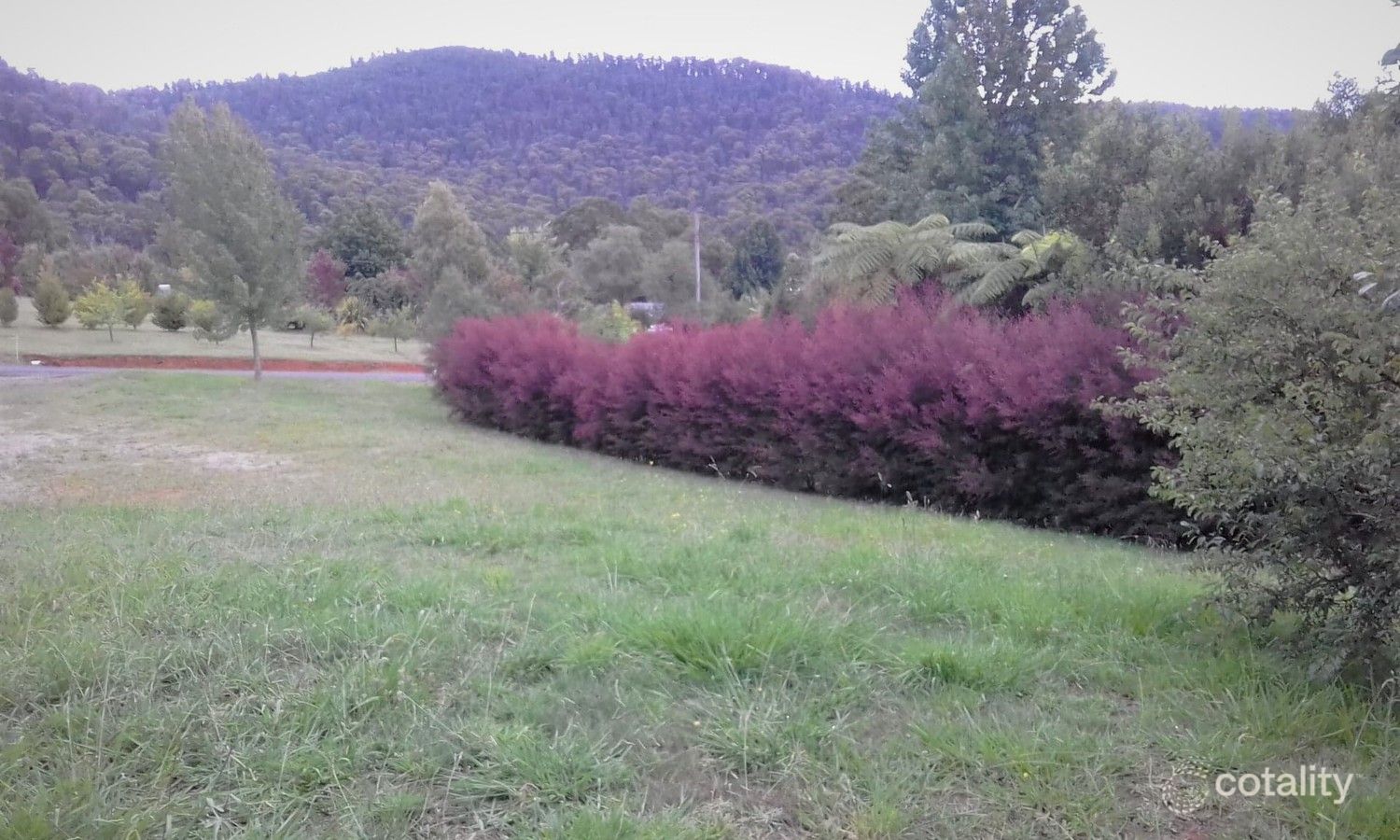 9 Old Melbourne Rd, Marysville, VIC 3779