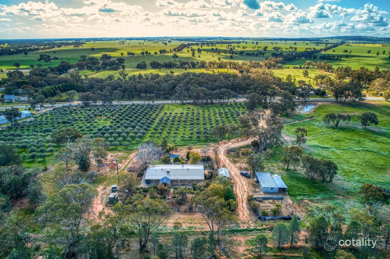 23 Queen St, Walbundrie, NSW 2642