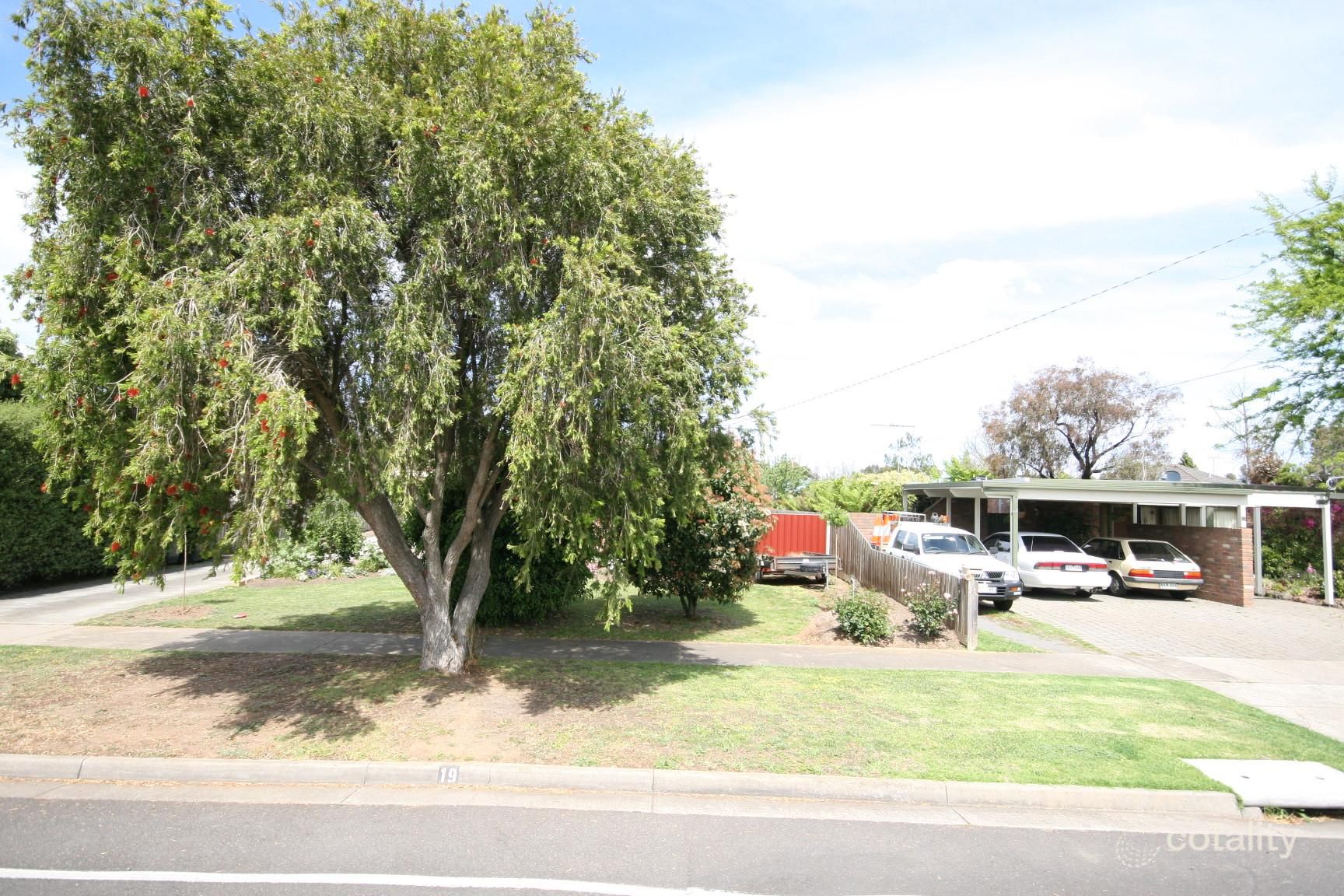 19 Oberon Dr, Belmont, VIC 3216