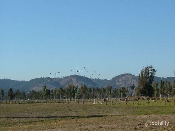 469 Wellesley Rd, Brunswick, WA 6224