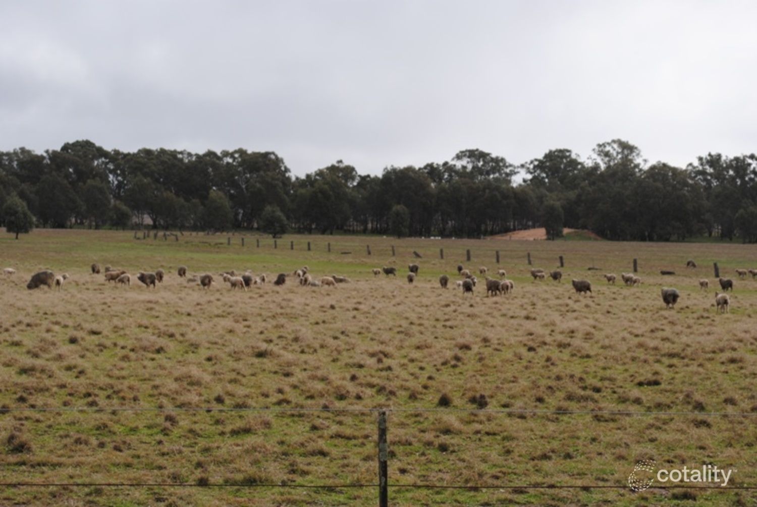 207 Old Eddington Rd, Betley, VIC 3472