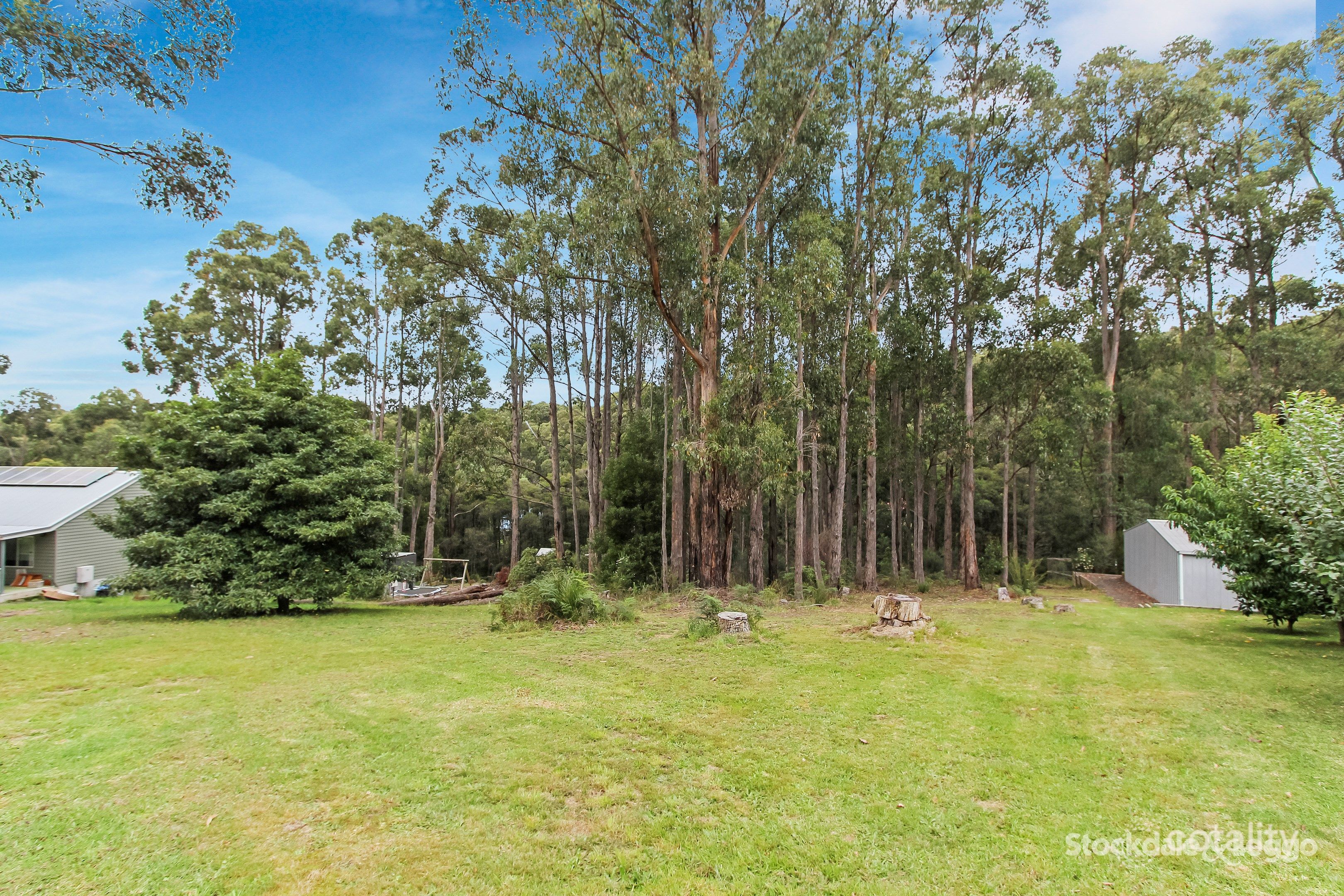 15 Wells Rd, Mirboo North, VIC 3871