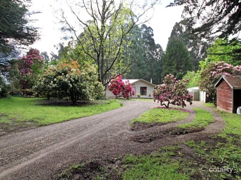 1732 Healesville-Kinglake Rd, Toolangi, VIC 3777